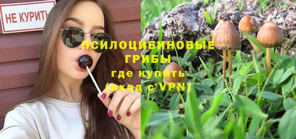 a pvp Коряжма