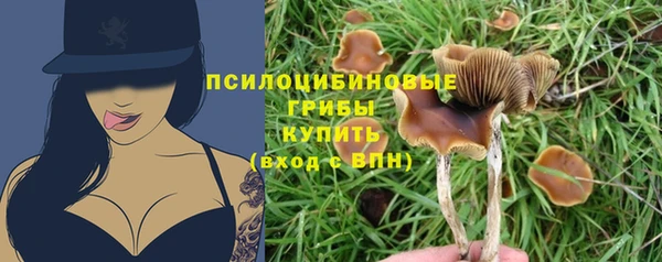 а пвп мука Краснослободск